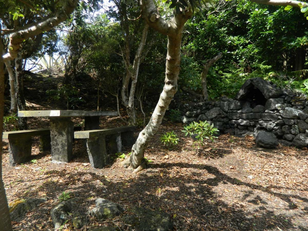 Calheta de Nesquim Adega Ninho Da Cagarra 빌라 외부 사진